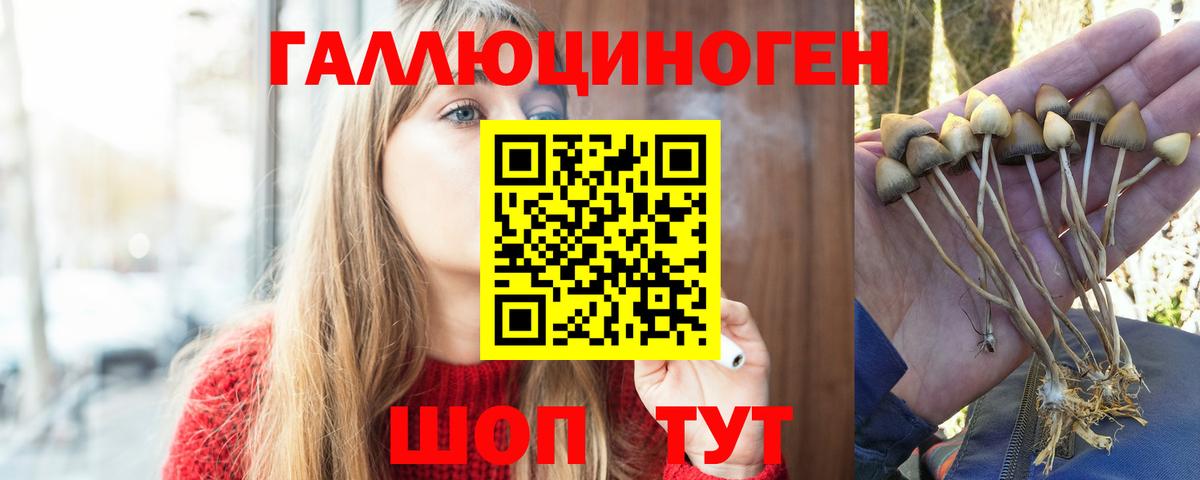 купить закладку  Вход с VPN  Солнечногорск  Галлюциногенные грибы Psilocybe 